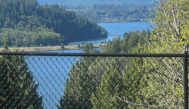 Mossyrock, WA Charming Retreat with Lake Views!