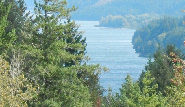 Mt Defiance Cabin with Columbia River View