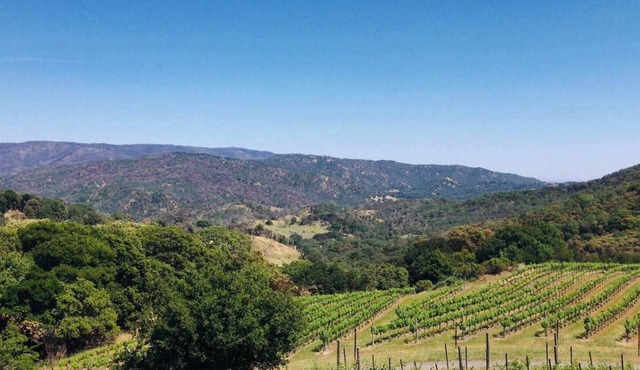Napa Vineyard with Stunning Views By Allevo Homes