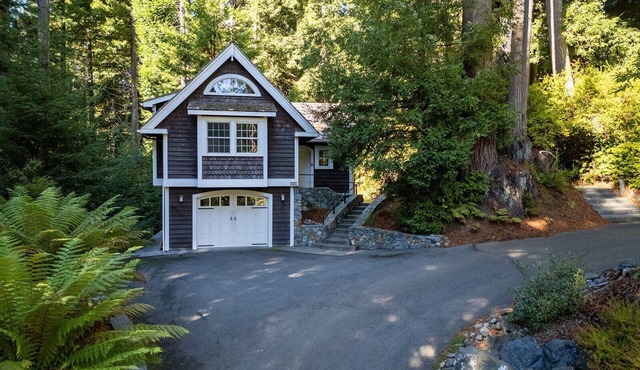 🌲 New Mgmt! Serene Redwood Retreat: Idyllic redwood views in spacious studio home