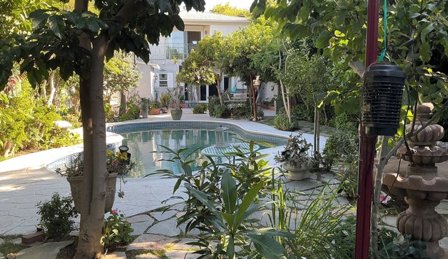 Over 200 Exotic Fruit Trees & Private Pool