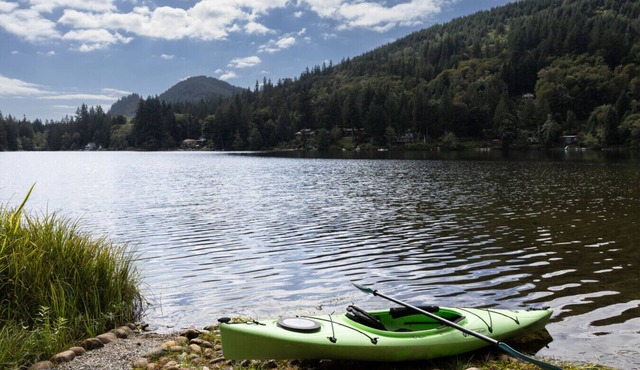 Paddle, Sauna, Relax—Lakefront!
