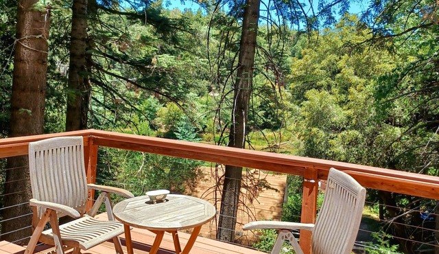 Peaceful 1920s Cozy Cabin snuggled in 100 ft Pines -Palomar Mt, Bailey Meadows in Palomar Mountain