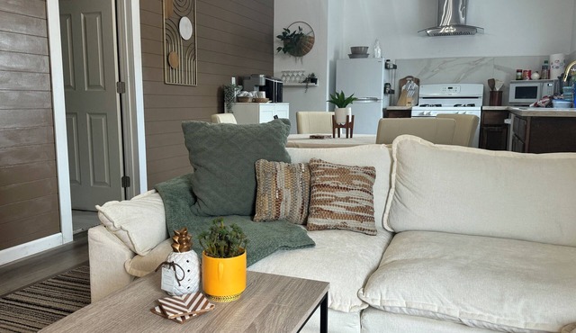 Pet Friendly cozy MV Apartment