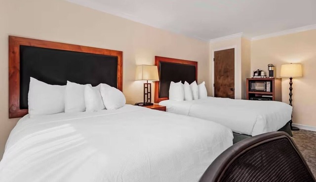 Pet-Friendly Standard Room | 2 Queens + Free Breakfast & Airport shuttle in Eagle