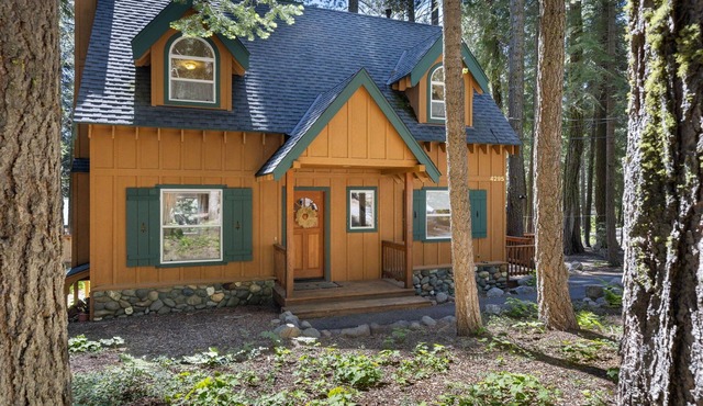 Quiet Pines Cabin in Homewood