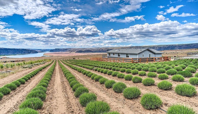 Quincy Home on Lavender Farm w/River Views!