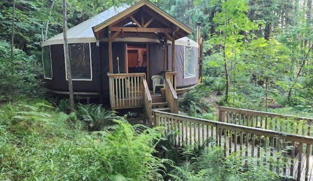 Relaxing FallCreek Vacation Yurt in Fall Creek