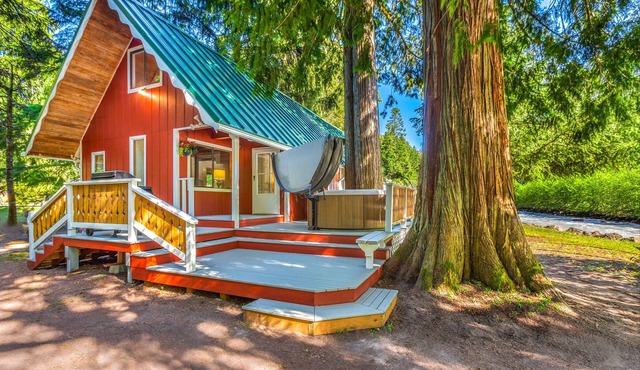 Riverfront Cabin | Hot Tub | Dogs OK | Near Mt Rainier