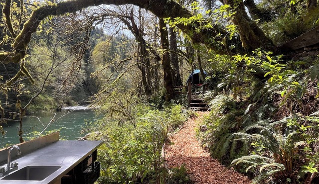 Riverfront Paradise Campground in Kalama