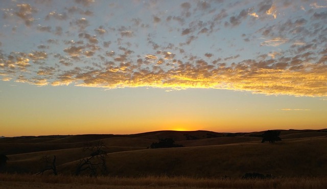Roadrunner Ridge
