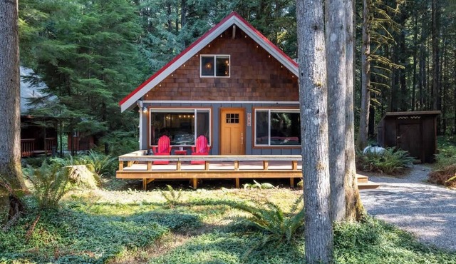 Romantic Mt. Baker Cabin with Hot Tub