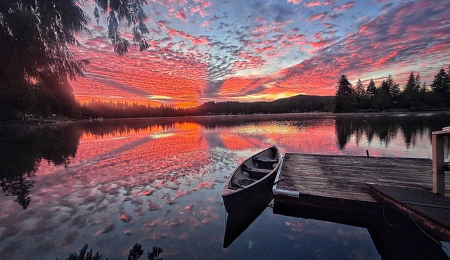 Romantic, pet friendly lakefront cabin!