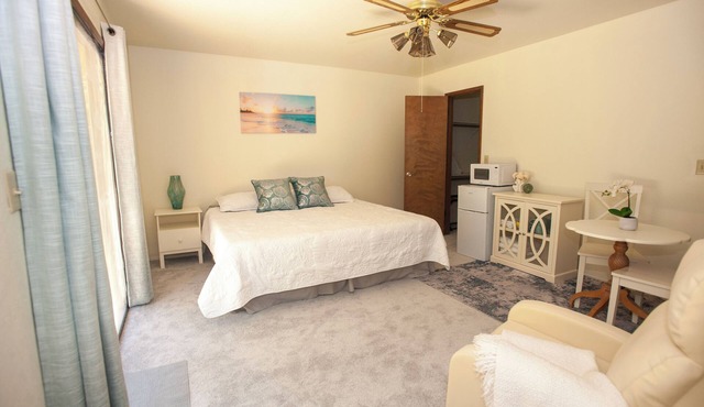 Safe and Quiet Guest Suite/Studio with Private Entrance
