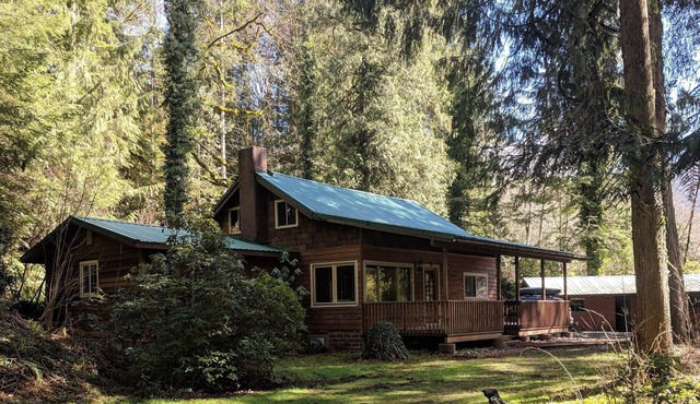 Salmon River Waterfront Cabin w/Hot Tub! Dog Friendly!