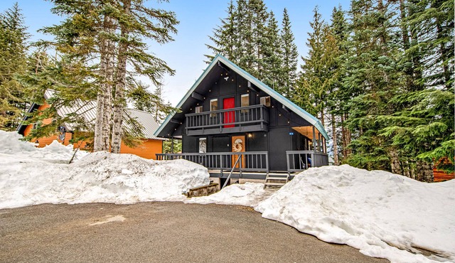 Scandinavian Lodge-Inspired Home w/High-Speed WiFi, Wood Stove, & Washer/Dryer
