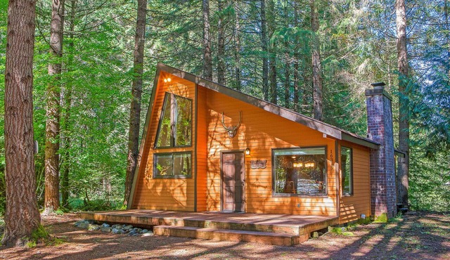 Secluded Greenwater Cabin | Loft | Dogs OK