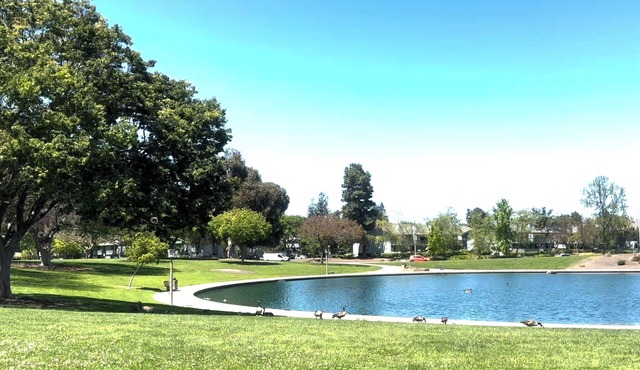 Spacious 3 BR 2B House Sunnyvale Park
