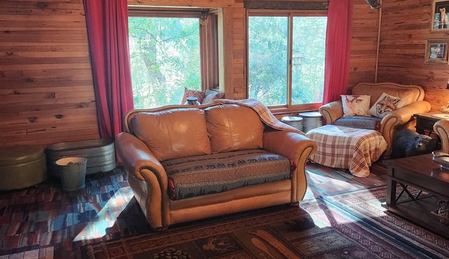 Spacious 4-bedroom house in charming Quincy with WiFi