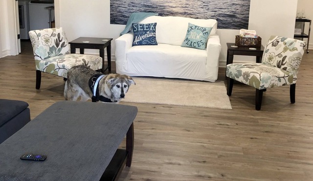 Spacious, one level pet-friendly gem with fenced yard, 5 minutes from the ferry!