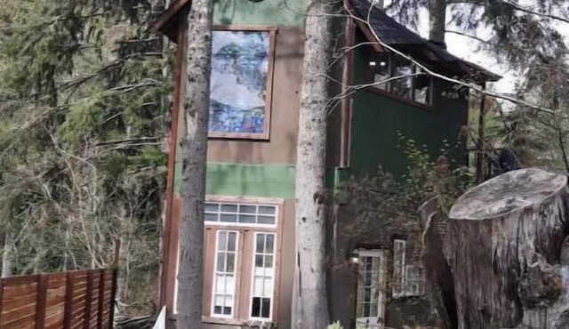 T, s Creekside cabin. King Bed/Hot tub/treehouse