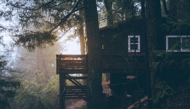 Tawny Owl Cottage · Tawny Owl Cottage - Cozy Cabin Retreat with a View
