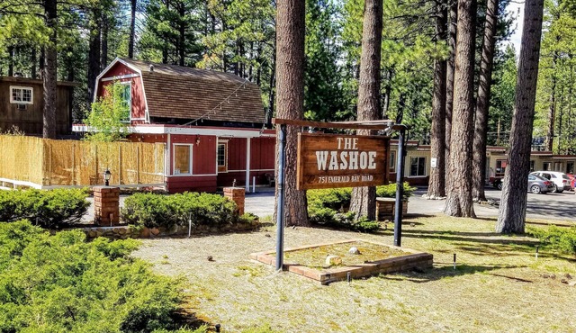 The Washoe