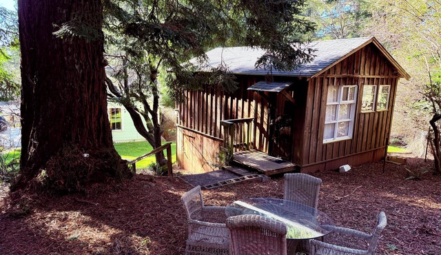 Tranquil Redwood Hideaway with private patio and fast wifi