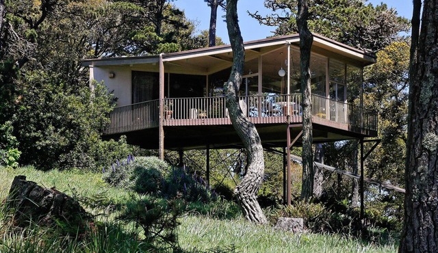 Tree Top Glass House - Hi House