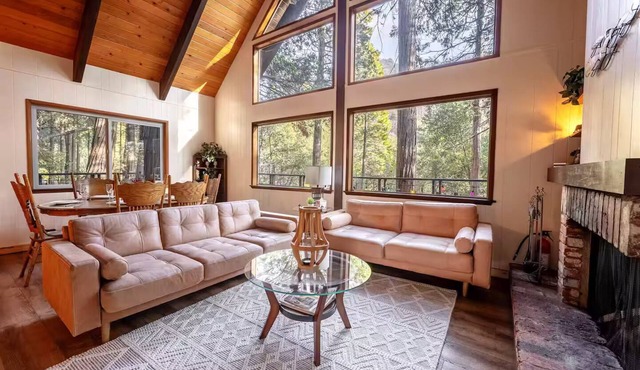 Trout River Cabin Secluded Family Forest Retreat