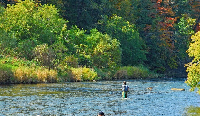 WATER FRONT- Cozy Country Home SPA, Pristine Lawns, wildlife & trails to Explore
