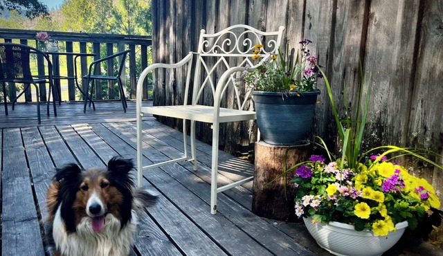 Welcome to Mountain Greens Cabin