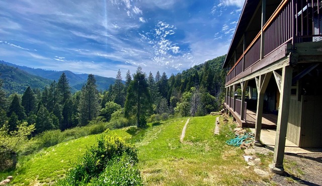 Wolf Cabin: A Place to Unwind & Enjoy Nature with the Most Spectacular Views!