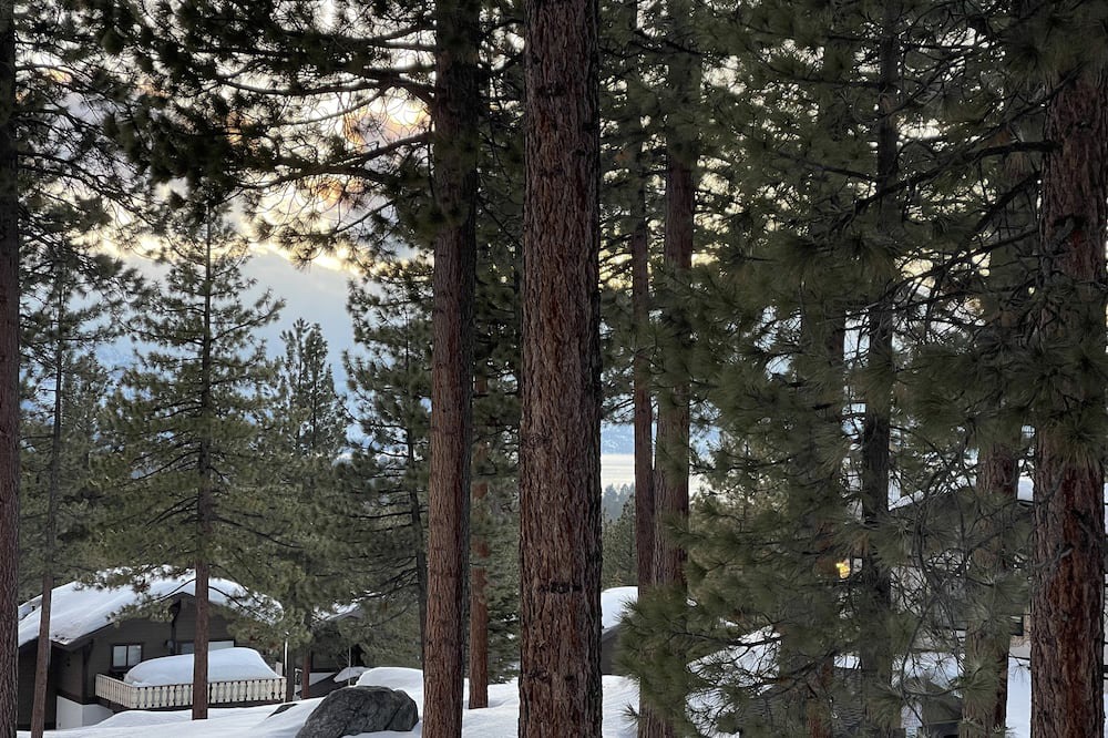 Photo of Outdoor in Tahoe Tyrol