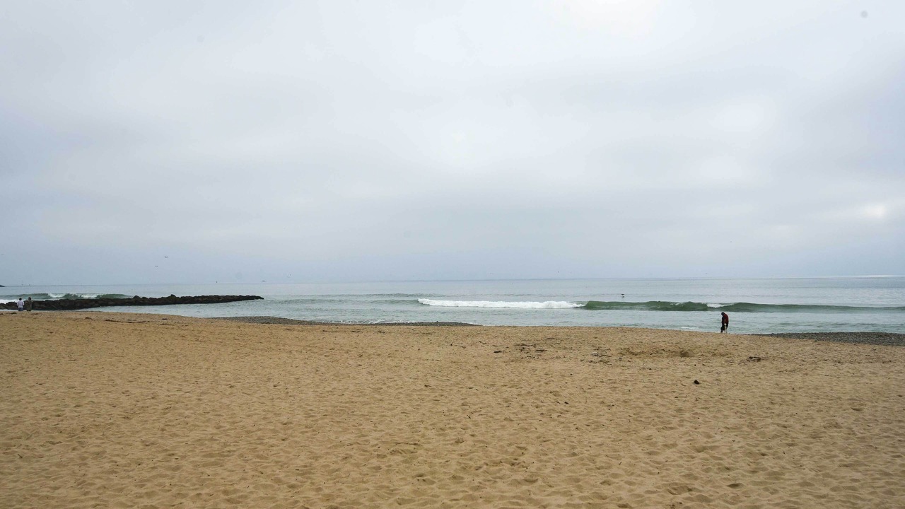 Photo of Others in Pierpont Bay