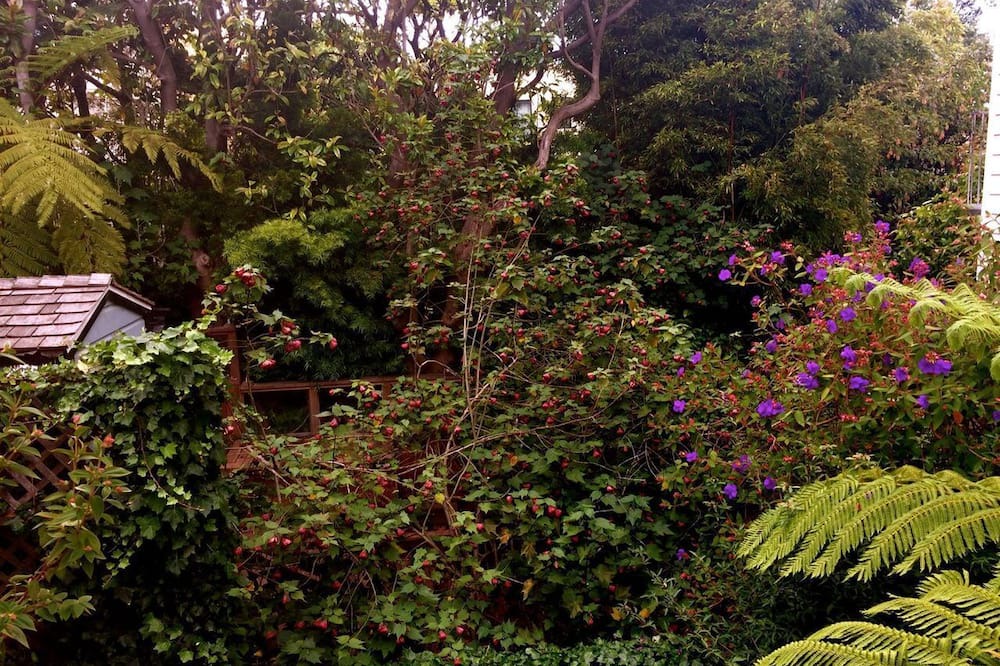Photo of Outdoor in Cow Hollow