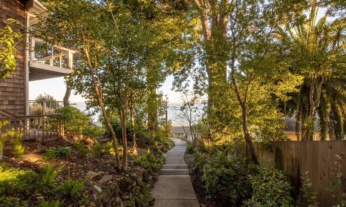 Photo of Outdoor in San Rafael