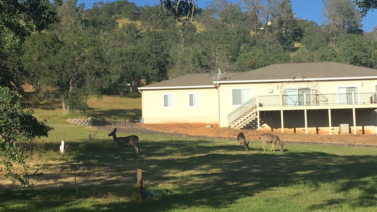 Photo of Outdoor in Coulterville