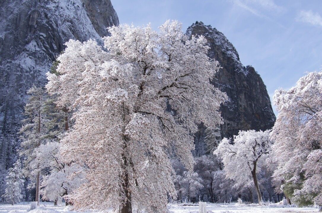 Photo of Outdoor in Midpines