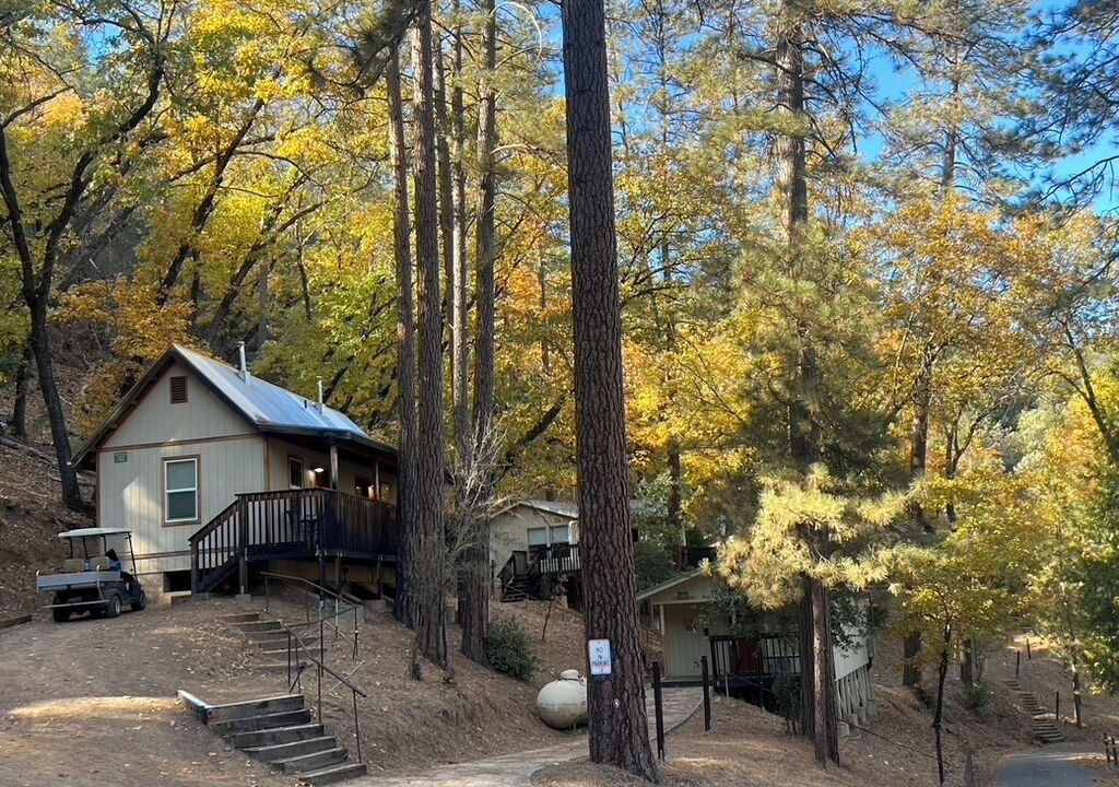 Photo of Outdoor in Midpines