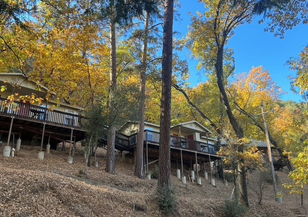 Photo of Outdoor in Midpines