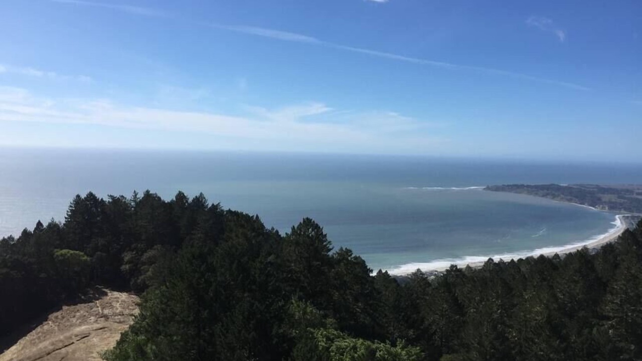 Photo of Others in Stinson Beach