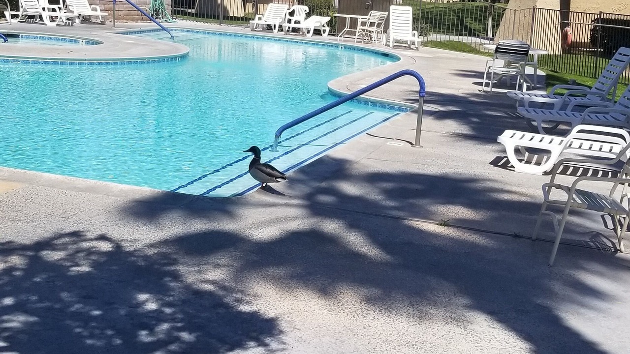 Photo of Outdoor in Racquet Club West