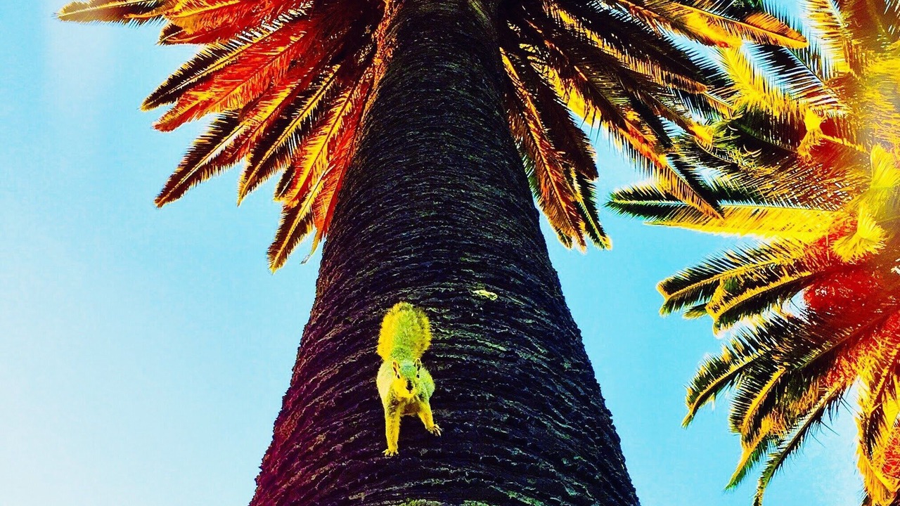 Photo of Others in Los Angeles