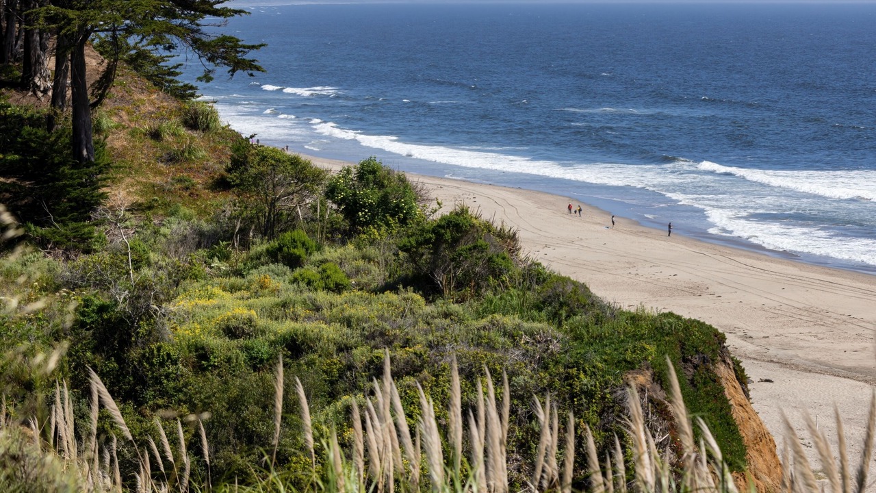 Photo of Others in Rio del Mar