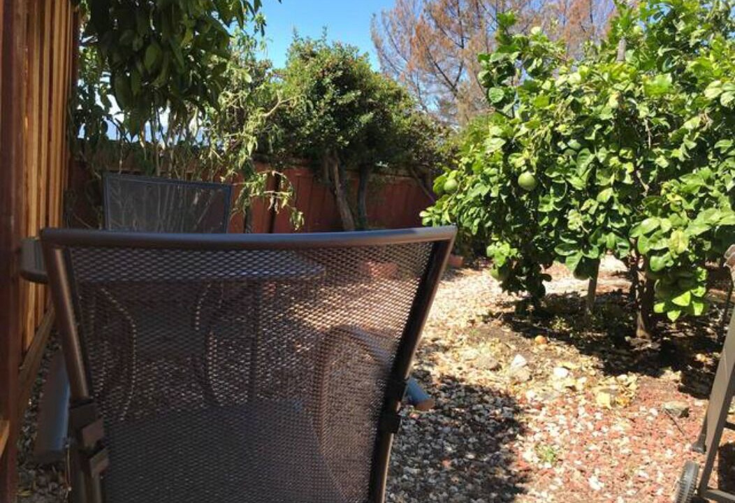 Photo of Patio Balcony in South San Jose
