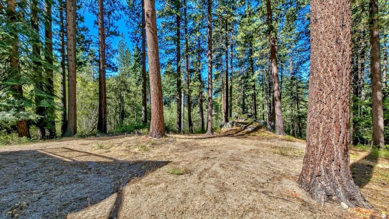 Photo of Others in South Lake Tahoe