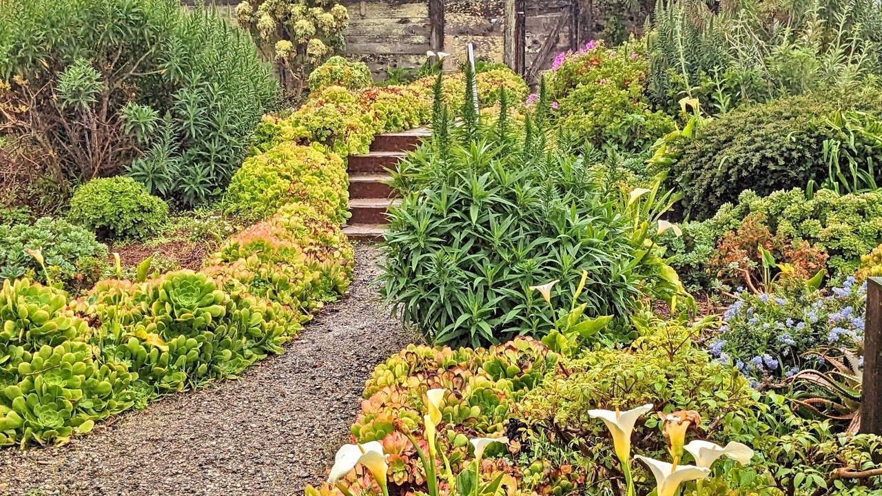 Photo of Outdoor in Stinson Beach