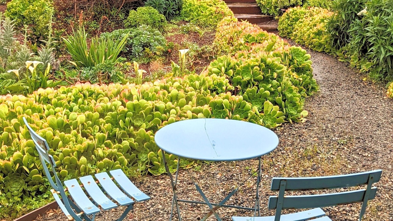 Photo of Outdoor in Stinson Beach