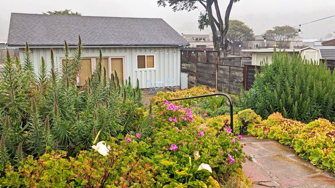 Photo of Outdoor in Stinson Beach
